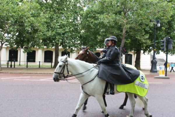 Police Officers on their horses