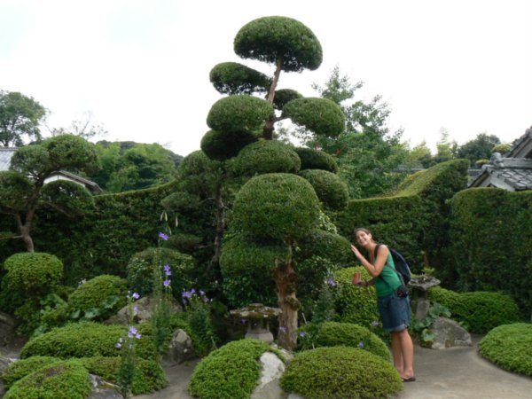 samurai garden