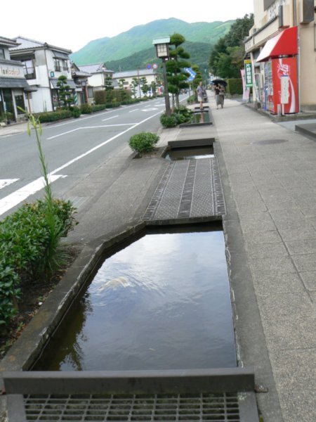 fishpond in the pavement!