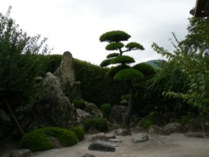 samurai garden 6