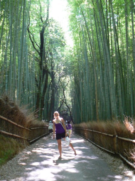 stace and the bamboo