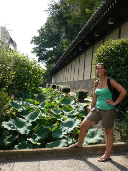 lotus moat outside temple in kyoto city