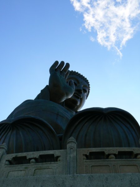 Beneath Buddha