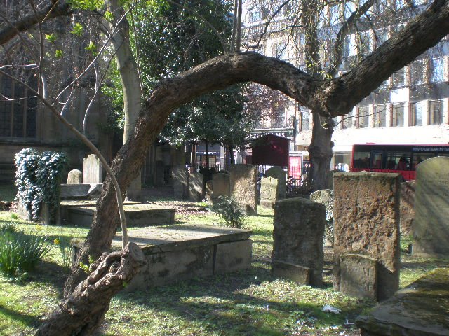Same Cemetery