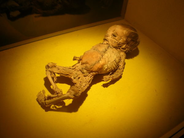 Baby mummy