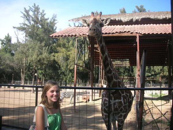 Me and the giraffe