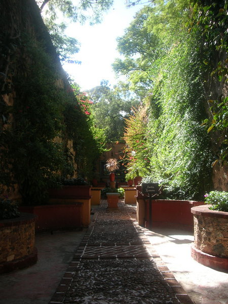 romanian garden