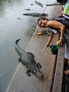Feeding Croc