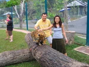 us at tiger kingdom