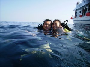 scuba diving at shark point