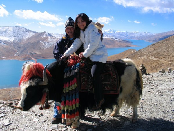 us with yak at yamdrok-tso lake