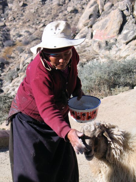 woman at drepung monastery