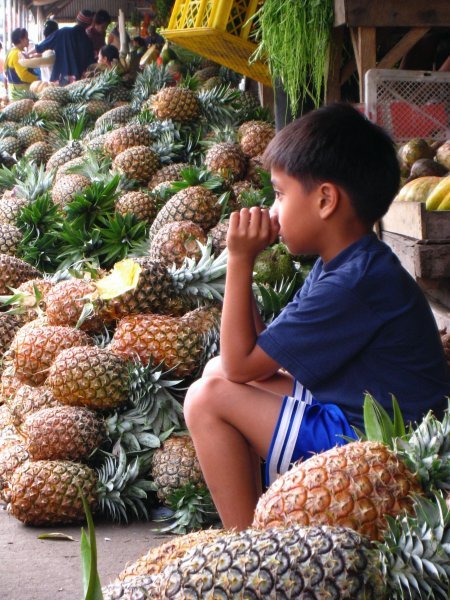 kid and little pineapples