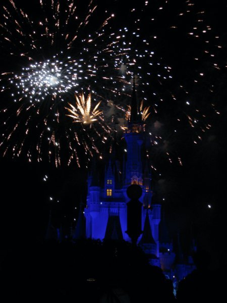 fireworks over the castle at magic kingdom