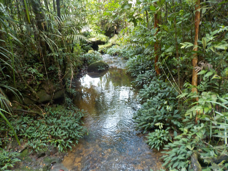 Fresh water stream