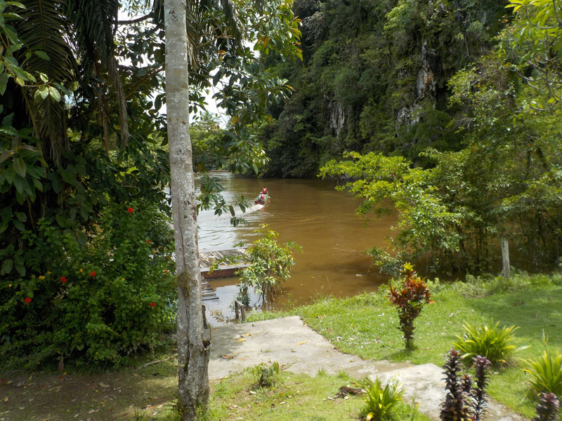 Sungai Melinau from Kenny's garden
