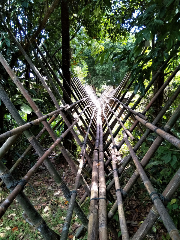 Bamboo bridge leading to the Bidayuh house