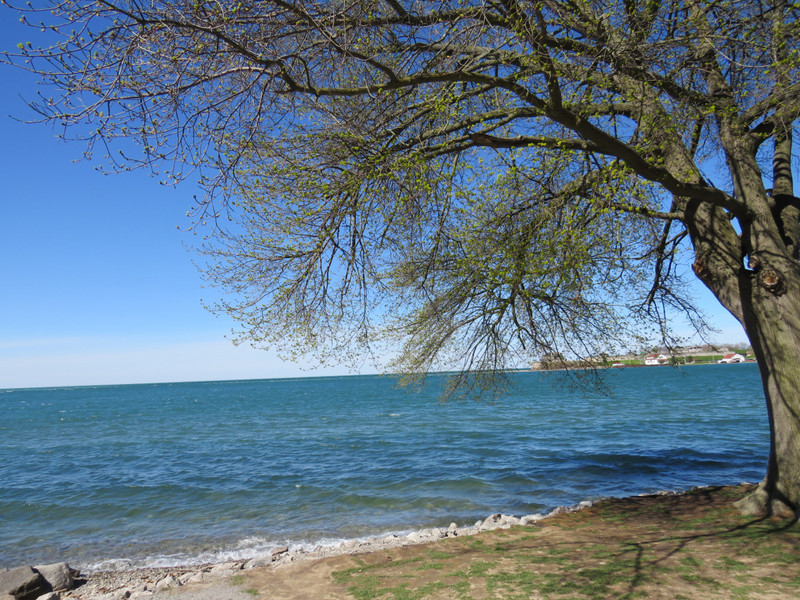 Lake Ontario by Niagara-on-the-Lake