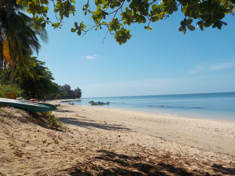 Coconut Beach