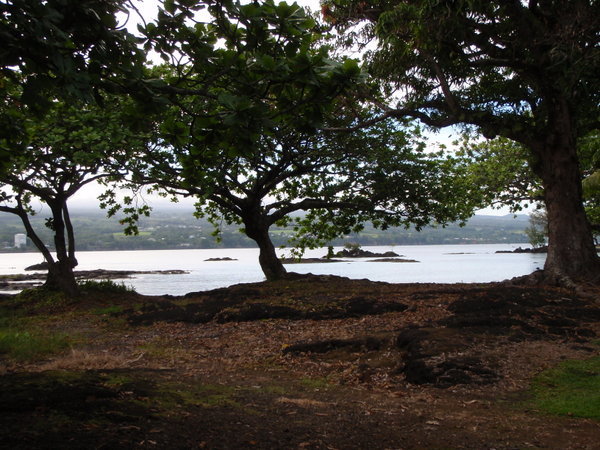 Hilo from Coconut island