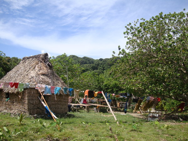 Village bure hut