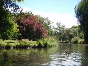 The River Avon