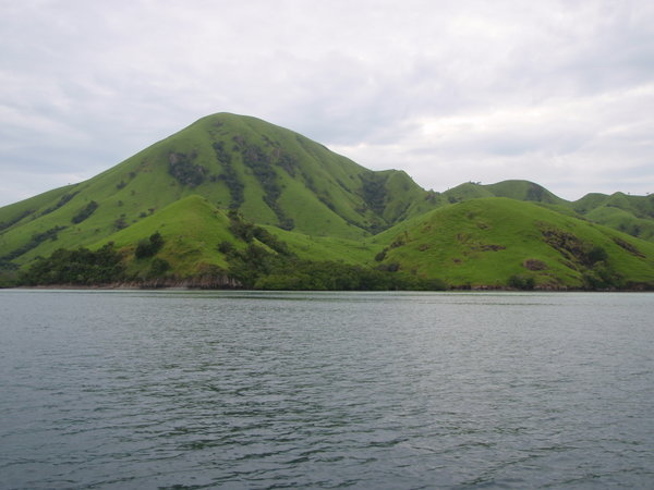 The green green hills of Flores