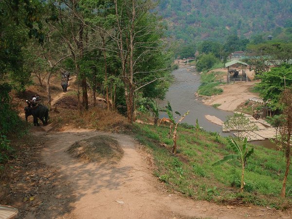 Elephant trekking in the Mae Taeng Valley