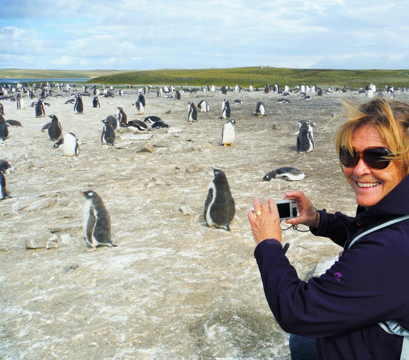 Viv photographing penguins