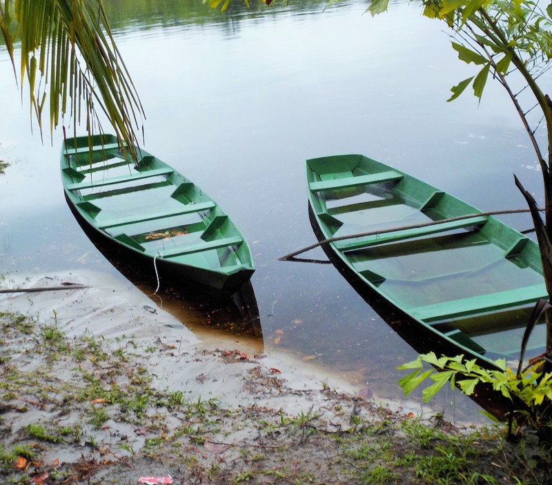 Half sunk canoes