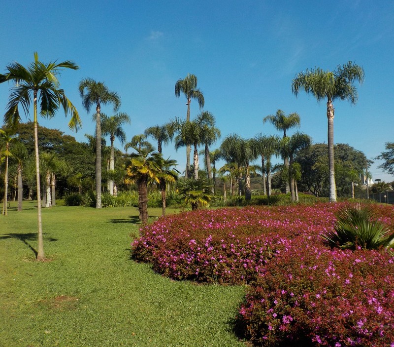 Curitiba is a garden city
