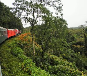 The Serra Verde Express in the Atlantic Rainforest