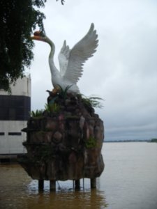 Sibu Swan