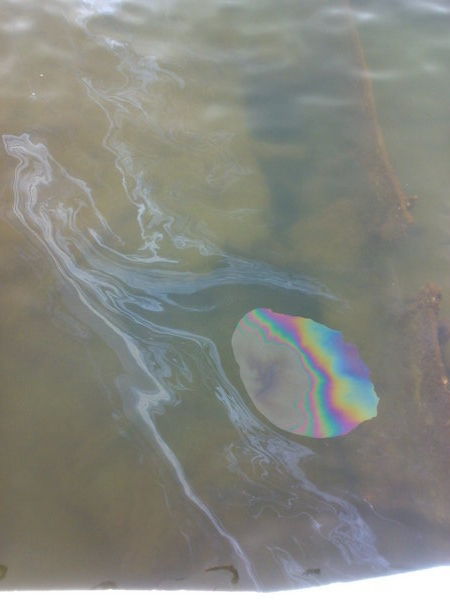 Oil still leaking from wreck