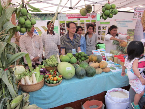 Permaculture project stall