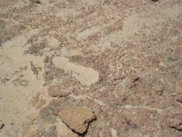 7000 year-old footsteps!