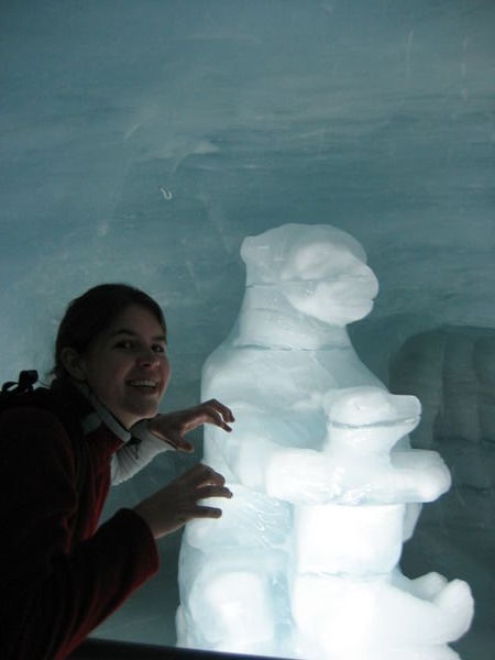 Ice bear in ice cave...