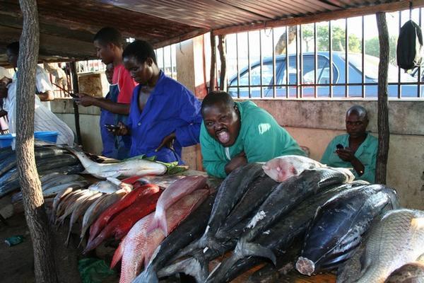 Fish Market in Maputo