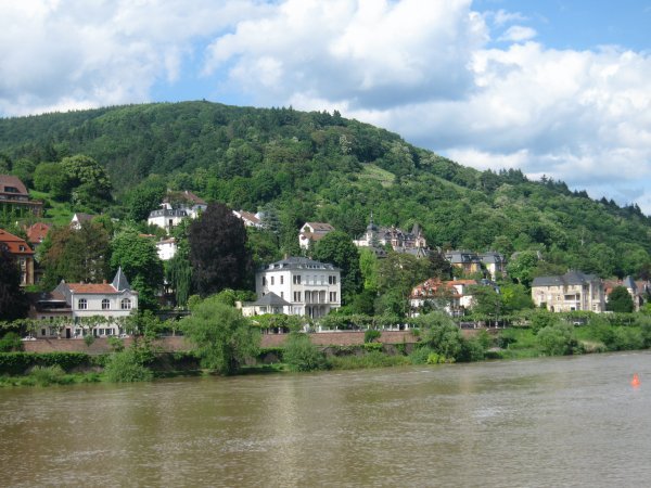 Looking across the Neckar