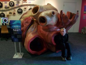 blue whale heart