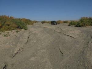 Dried out river bed