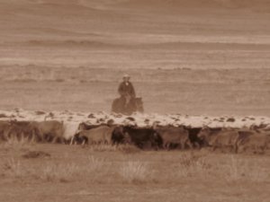 Nomadic herder