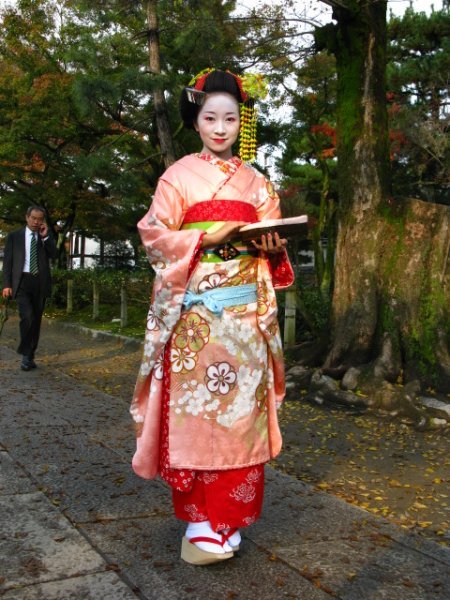 A young Maiko