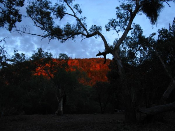 Red Rocks of Wilpena