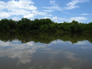 Reflections in croc infested river