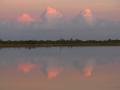 Pink cloud reflection
