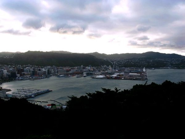 Windy Wellington City
