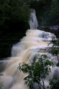 McLean Falls