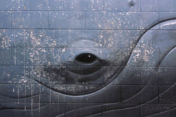 Street Mural Close Up