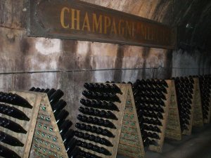 Mercier Champagne Caves